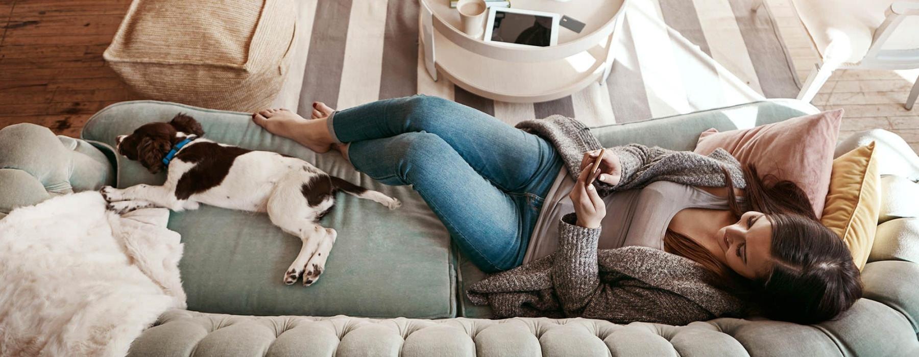 overhead view of  a woman texting as she lies on a couch with a dog at her feet